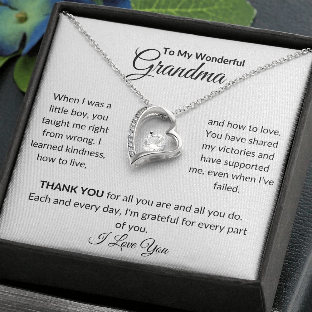 To My Wonderful Grandma, When I Was A Boy | Forever Love Necklace