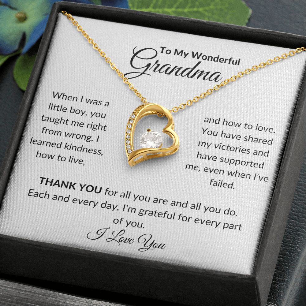 To My Wonderful Grandma, When I Was A Boy | Forever Love Necklace