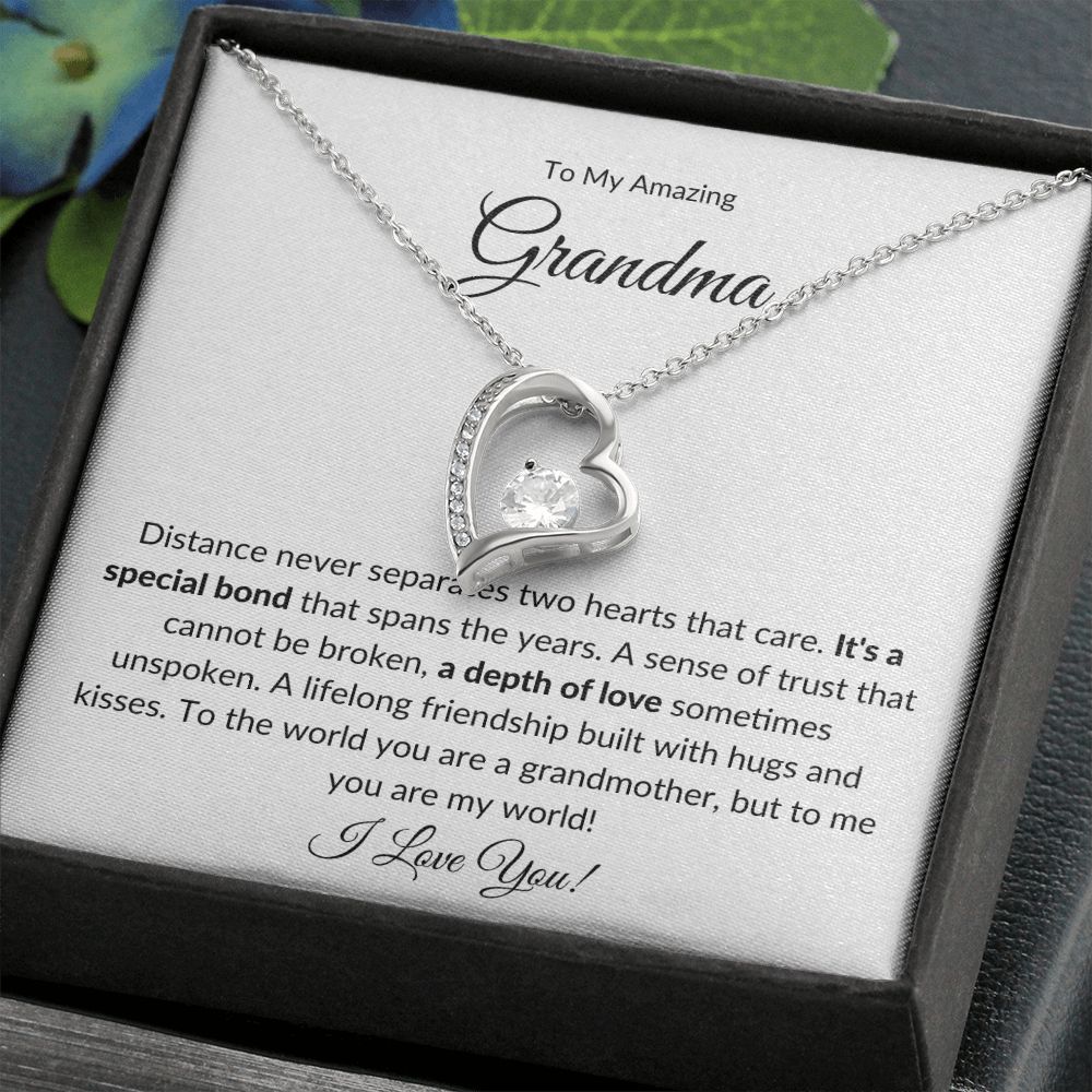 To My Amazing Grandma, A Special Bond | Forever Love Necklace