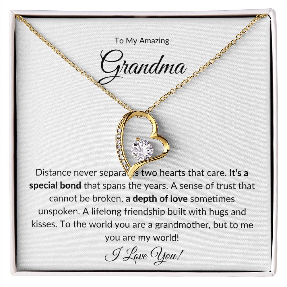 To My Amazing Grandma, A Special Bond | Forever Love Necklace