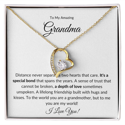 To My Amazing Grandma, A Special Bond | Forever Love Necklace