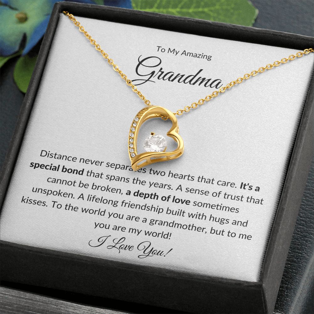 To My Amazing Grandma, A Special Bond | Forever Love Necklace